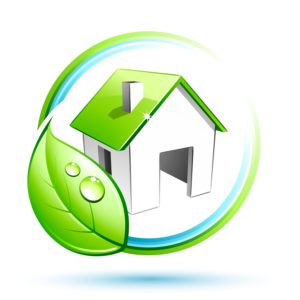 eco-friendly house